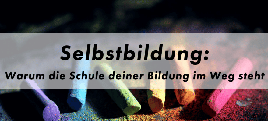 Selbstbildung ohne Schule Blog